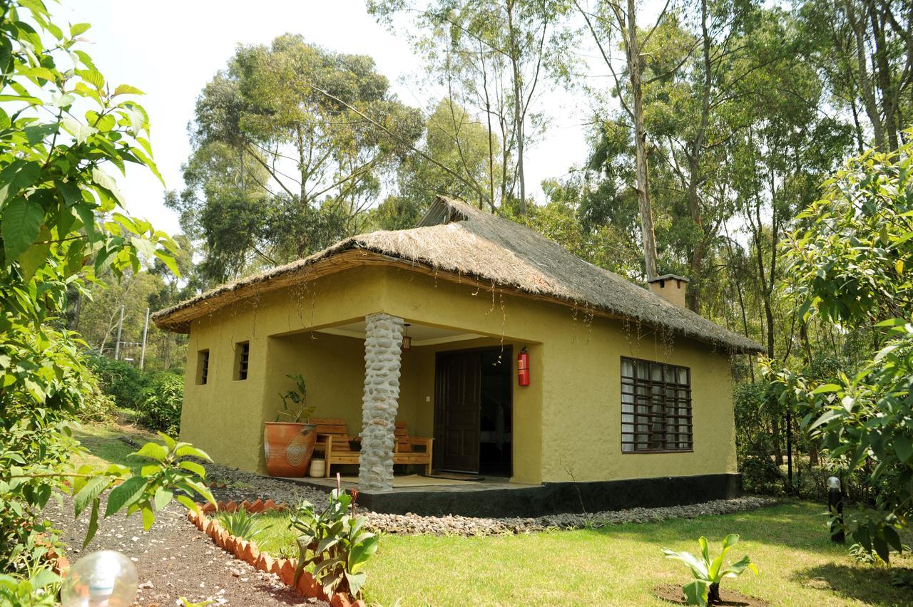 Davinci Gorilla Lodge Kinigi Exterior photo